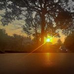Babitha Raj - @babitha_.raj - Instagram