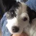 Babs Ball - Facebook