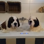 Bender. Babs - @bender.babs - Instagram