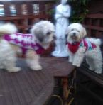 Babs Bennett - Facebook