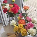 Babs Booth - Facebook