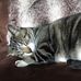 Barbara Brewer - Facebook