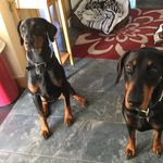 Babs Brown - @e16brown - Instagram