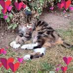 Babs Brown - Facebook