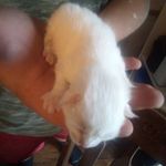 Babs Brown - @babsisgreat2114 - Instagram