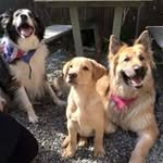 Babs Campbell - @cameltoe1965 - Instagram