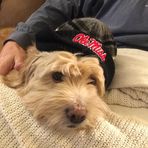 Babs Morris Campbell - Facebook