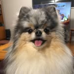 Barb Campbell - @babscampbell13 - Instagram