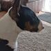Babs Clarke - Facebook