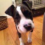 Babs Conley - Facebook