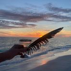 Barbara Varsetti-Conley - Facebook