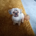 Babs Cooper - @babscooper606 - Instagram