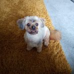 Babs Cooper - Facebook