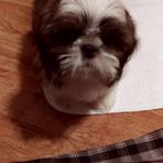 Babs Cooper - Facebook