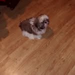 Babs Cooper - @babs4293 - Instagram