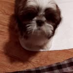 Babs Cooper - @babs.cooper2 - Instagram