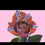 Barbara Cooper - Facebook