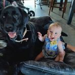 Barbara Dyer - Facebook