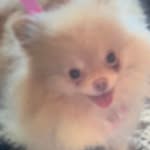 Babs Evans - @babs.evans.7 - Instagram