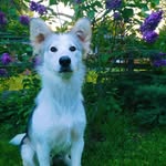 Babs & Co. - @foster.babs - Instagram