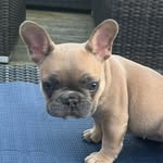 Babs Adams Foster - @babs_granelli - Instagram