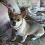 Barbara Fry - Facebook