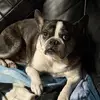 Babs_Green737 - @babs26446 - TikTok