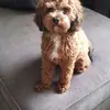 Babs King - @babs.king09 - TikTok