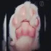 Babsy Lane - @babsylane66 - TikTok
