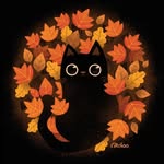 Babs Lester - @babs4cats - Instagram