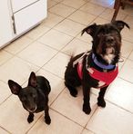 Babs Malone - Facebook