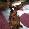 Babyface_babs_malone - @baby_face_babs_malone - TikTok