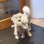 Barbara Maloney - @babsmaloney53 - Instagram