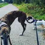 Babs & Marie - @babs_and_marie - Instagram