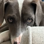 Babs Martin - @babsmartin41 - Instagram