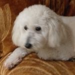 babs miller - @bjmiller1949 - Instagram