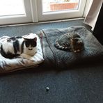Babs Morris - Facebook