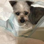 Barbara Moss - Facebook
