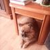 Babs Roberts - Facebook