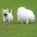 Babs Roberts - Facebook