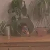 babsrobertss - @babsrobertss - TikTok