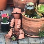Babs Robinson - @babshot7 - Instagram