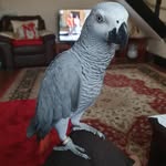Barbara Russell Richards - @babs9278 - Instagram