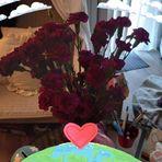 Barbara Schramm - Facebook