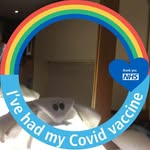 Babs Shaw - @babs.ron - Instagram
