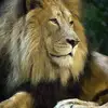 Stephen_Bab’s - @stephen_babss - TikTok