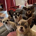 Babs Taylor - Facebook