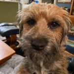 Babs Thomas - @babsdanyffynnon - Instagram