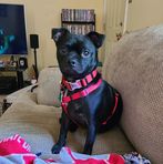 Babs Thompson - Facebook