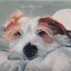 babsthompson - @babsthompson - TikTok